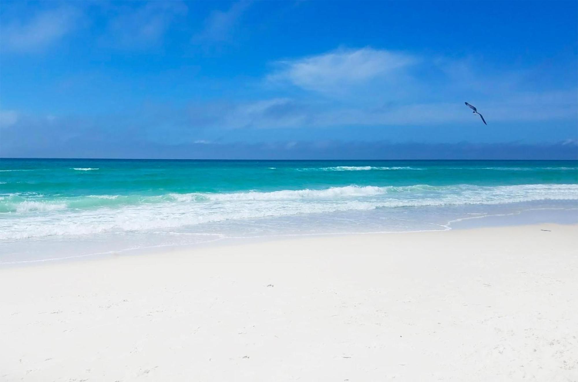 Tidewater 2409 - Our Perch At The Pier Βίλα Panama City Beach Εξωτερικό φωτογραφία